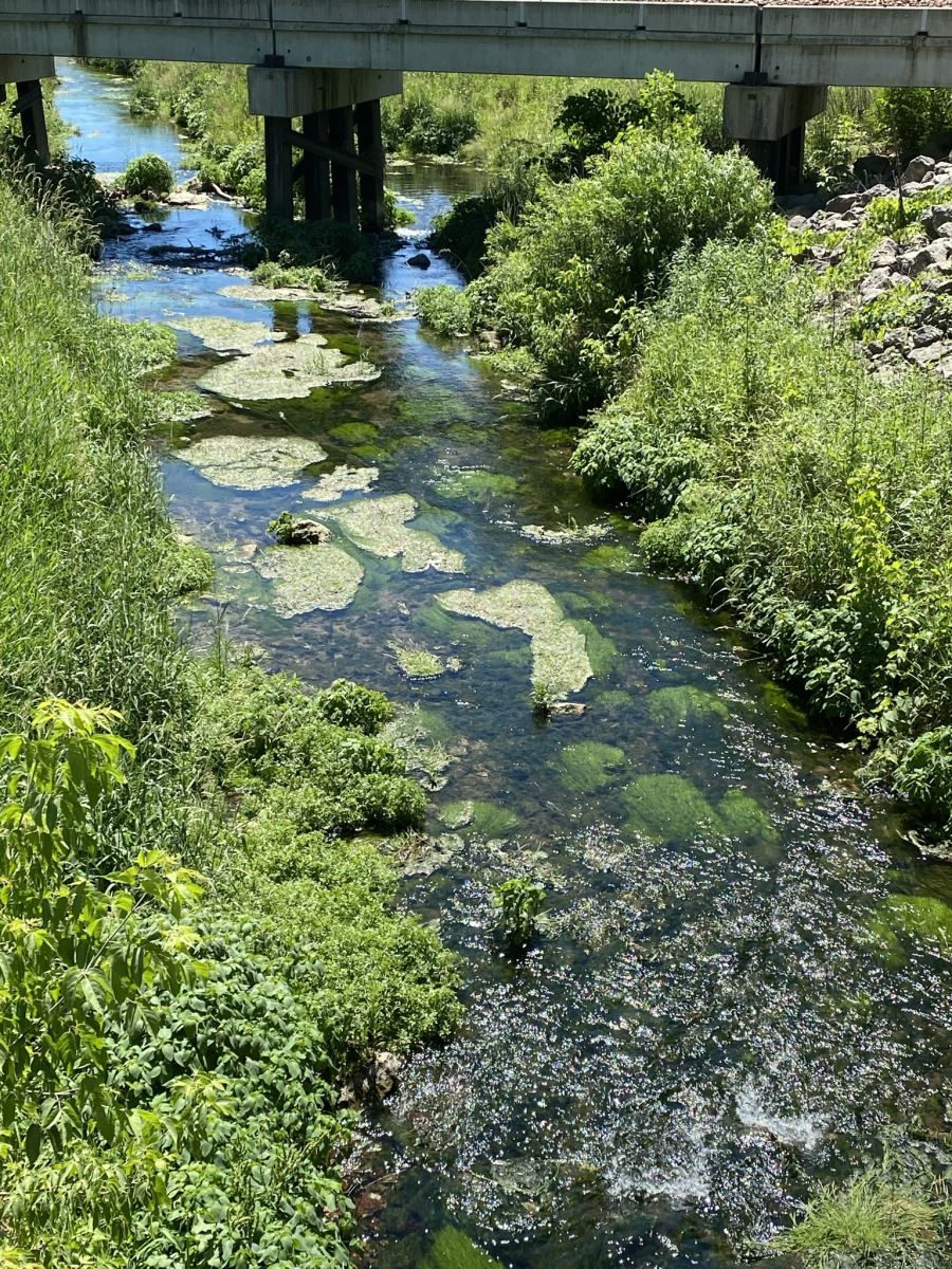 Judge hears arguments in lawsuit to save Bloody Run Iowa